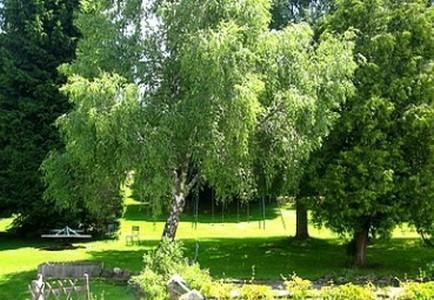Hotel La Clairiere Chambon-sur-Dolore エクステリア 写真